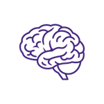 Purple outline of a brain without background