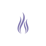 icon of flame without background showing metabolic spark