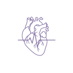 Icon of a heart with an EKG line without background